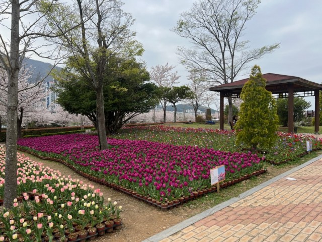 2-3 2-3. 관련사진(봄향기 만연한 독봉산 웰빙공원으로 오세요! 2).jpg