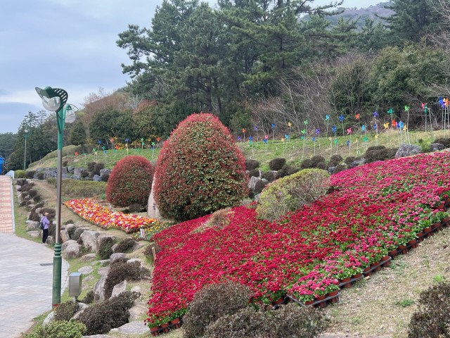 2-4 2-4. 관련사진(봄향기 만연한 독봉산 웰빙공원으로 오세요! 3).jpg