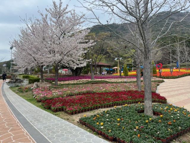 2-2 2-2. 관련사진(봄향기 만연한 독봉산 웰빙공원으로 오세요! 1).jpg