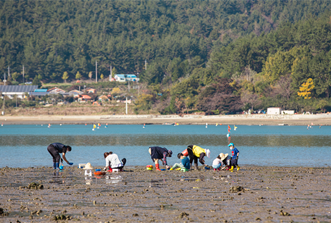 전도마을조개잡이체험.jpg