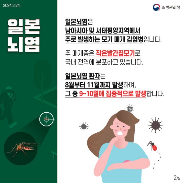 일본뇌염(1) 일본뇌염(1).jpg
