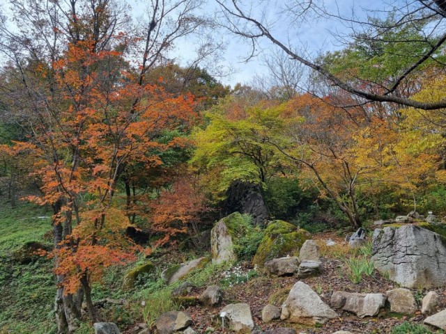 금원산생태수목원단풍1 금원산생태수목원단풍1.jpg