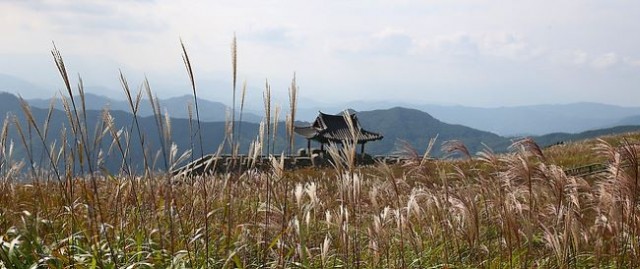 황매산 황매산.jpg