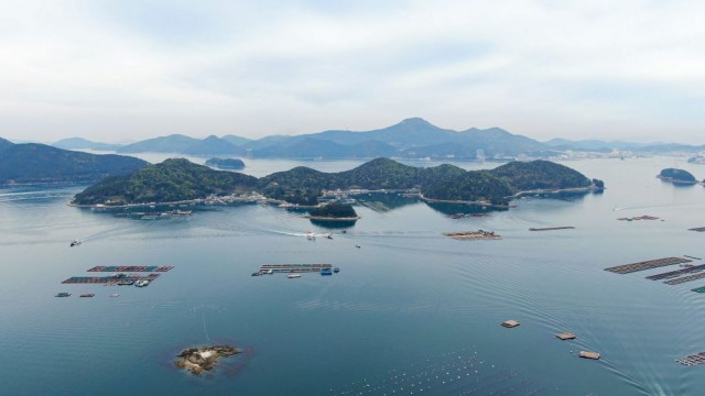 관련사진(거제시, 섬 주민 취약계층 해상교통 운임 전면 무료화)-화도 관련사진(거제시, 섬 주민 취약계층 해상교통 운임 전면 무료화)-화도.jpg