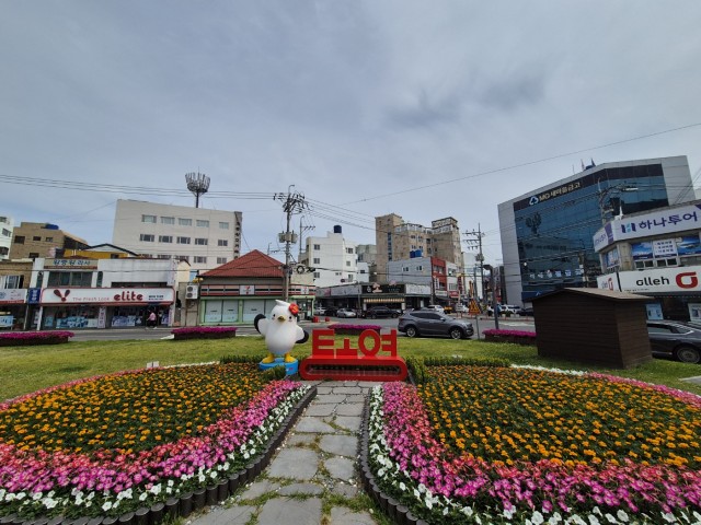 3 3. 17. - 통영시 화단 봄꽃으로 물들다 3.JPG