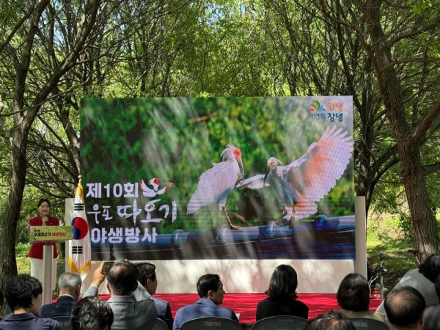 따오기야생방사(1) 따오기야생방사(1).jpg