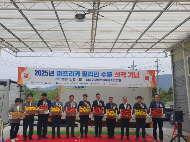 선적(2) 선적(2).jpg