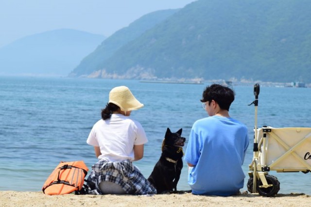6-3 6-3. 관련사진(거제시, 16개 해수욕장 7월 5일 일제 개장 2).jpg