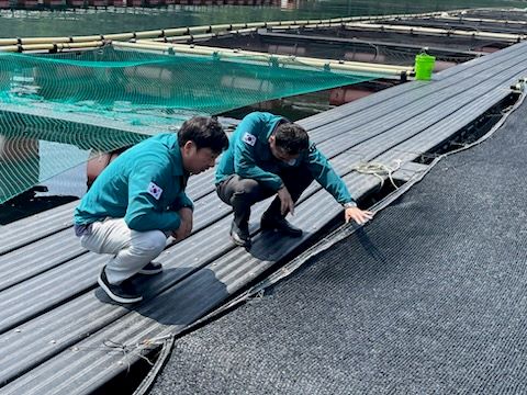 7 7. 9. - 통영시 고수온 대비 선제적 대응체계 가동 1.jpg