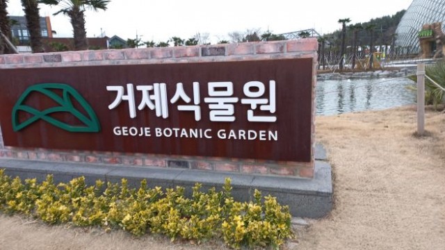 식물거제 식물거제.jpg