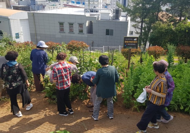 7 7. 15. - 통영시 치매안심센터 쉼터 치매치유 텃밭 운영 2.jpg