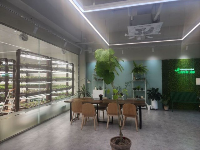 관련사진(거제에 등장한 ‘미래형 카페’, 눈으로 보고 맛보는 스마트팜 카페) 2 관련사진(거제에 등장한 ‘미래형 카페’, 눈으로 보고 맛보는 스마트팜 카페) 2.jpg