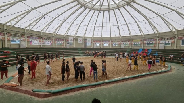 1-3 고성군, 2025 하계 전지훈련으로 여름 스포츠 열기 후끈! [하계전지 씨름1] .jpg
