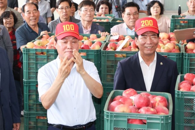 거창홍로사과초매식(4) 거창홍로사과초매식(4).jpg