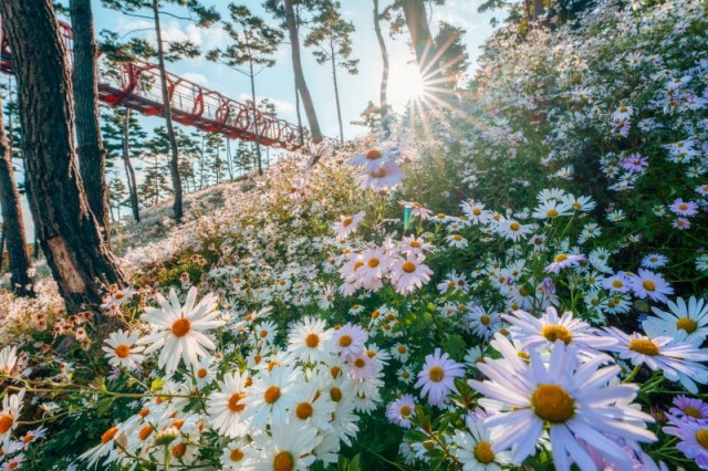 (산청)동의보감촌.jpg