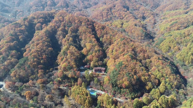 금원산(1) 금원산(1).png