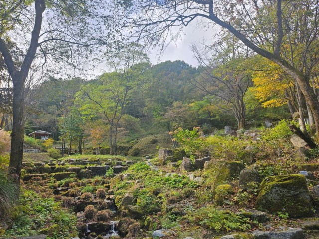 금원산(2) 금원산(2).jpg