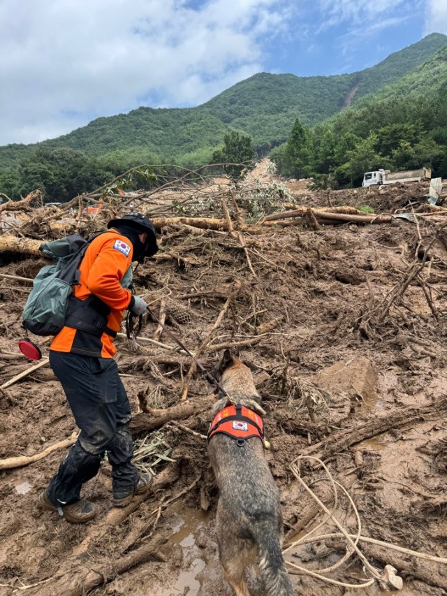 산청군수해실종자수색 산청군수해실종자수색.jpg