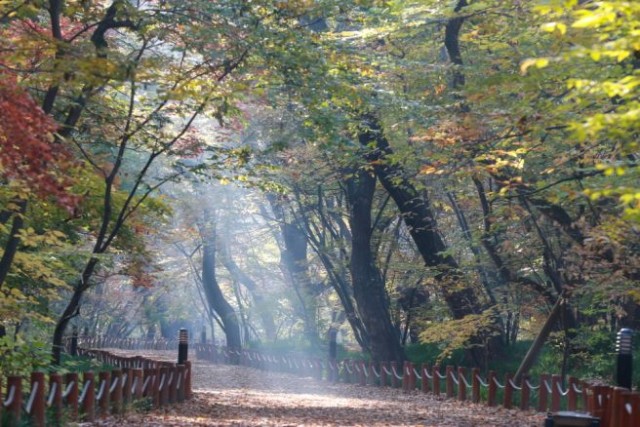 FNNsj4qmNG5 FNNsj4qmNG5.jpg