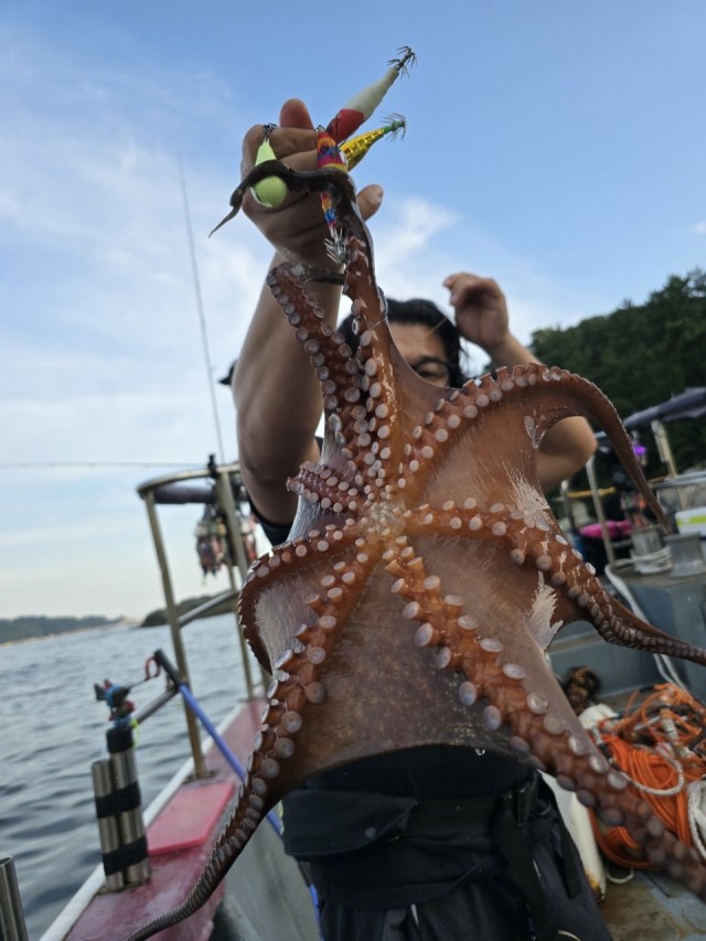 참고사진(3) 참고사진(3).jpg