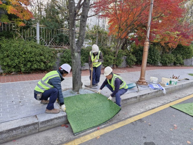 11. 24. - 통영시, ‘가로수 뿌리들림 제로화’ 걷기 좋은 도시 만든다 3.jpg