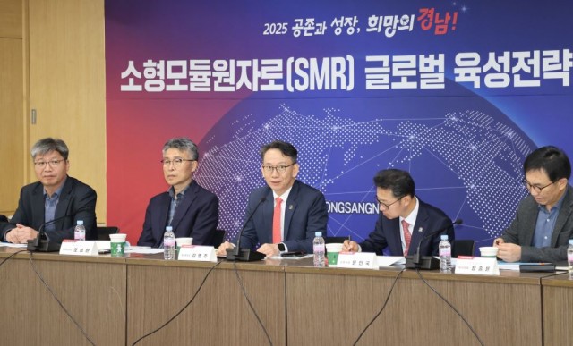 SMR글로벌육성전략(1).jpg