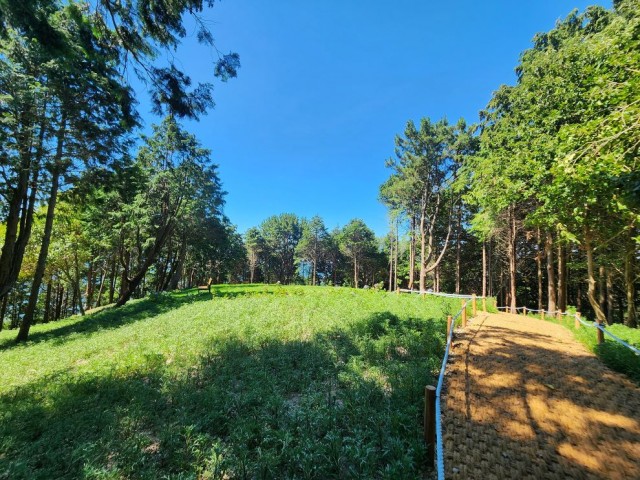 12. 8. - 통영시, ‘도시숲·녹지공간 조성’ 올해 최우수기관 선정 3(이순신공원 산림공원).jpg