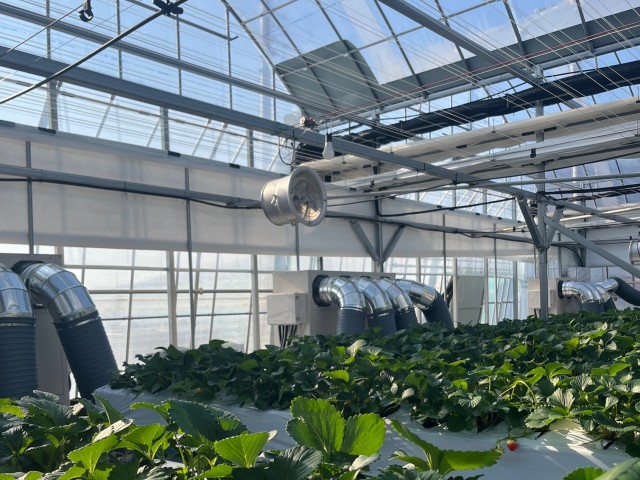 신재생에너지시설(1) 신재생에너지시설(1).jpg