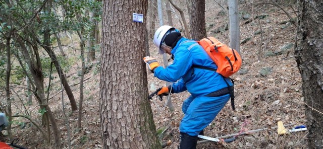 1. 23. - 통영시 소나무재선충병 전략적 방제 추진.jpg