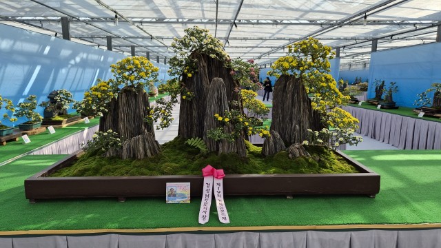 관련사진(2026 거제국화분재연구회 신규 회원 모집 2) 관련사진(2026 거제국화분재연구회 신규 회원 모집 2).jpg