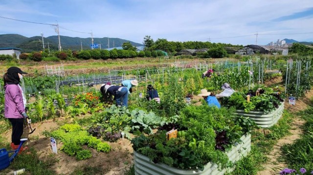 관련사진(2026년 도시농업 기초반, 전문가반 교육생 모집) 관련사진(2026년 도시농업 기초반, 전문가반 교육생 모집).jpg