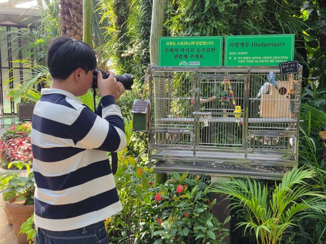 관련사진(거제식물원 정글돔, 앵무새 전시로 관람 콘텐츠 확대1) (1).jpg