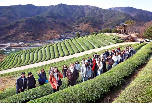 섬진강스테이특화상품육성(외국인유학생팸투어-하동녹차밭).jpg