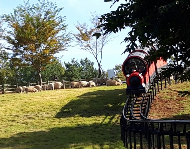 관련사진(거제 숲소리공원 연계 관광으로 경쟁력 강화1).jpg