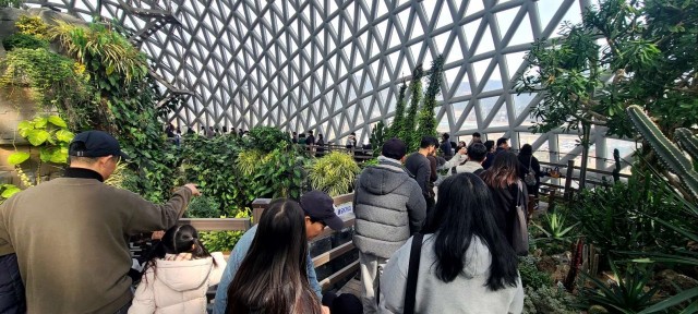 관련사진(거제식물원, 2만 2천여 명 찾아 명절 대표 관광지 입증) (1) 관련사진(거제식물원, 2만 2천여 명 찾아 명절 대표 관광지 입증) (1).jpg