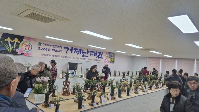 관련사진1(38회 거제난대전 성황리 폐막) 관련사진1(38회 거제난대전 성황리 폐막).jpg