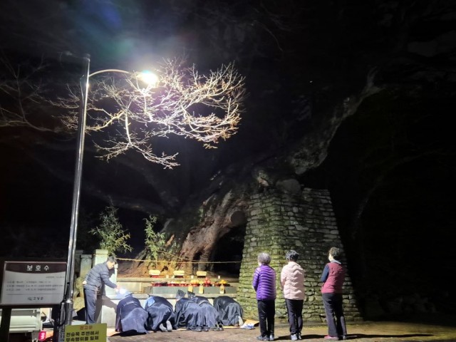 6-1 고성문화원 ‘전승목 당산제’ 개최 1 (1).jpg