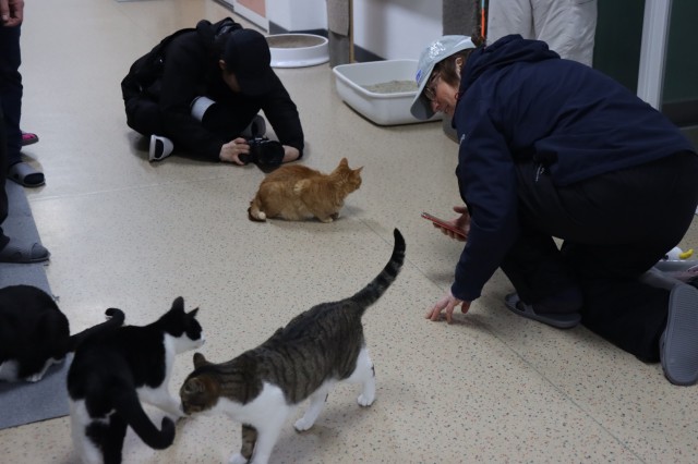 3. 19. - 통영시 클리퍼 세계일주 요트대회 선수단 대상 고양이섬 팸투어 실시 2.jpg