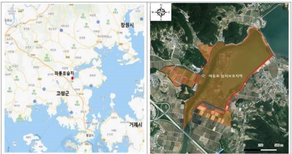 마동호 마동호.jpg