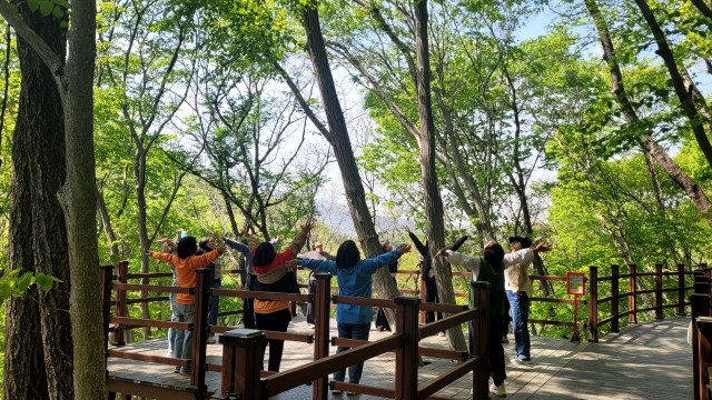 관련사진(거제 치유의 숲， 2026년 산림치유 프로그램 본격 운영 개시2).jpg