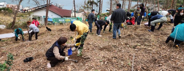 관련사진(제81회 식목일 기념 나무심기 행사 성료3).jpg