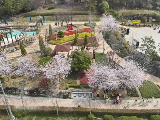 관련사진(독봉산웰빙공원 수만 송이 봄꽃전시 한창1) 관련사진(독봉산웰빙공원 수만 송이 봄꽃전시 한창1).JPG