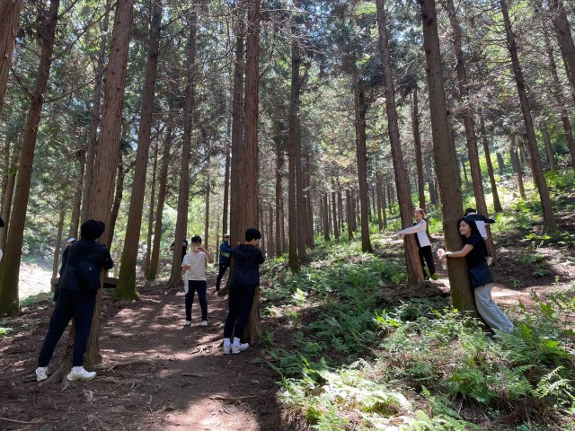 1-4 고성 갈모봉, 하늘숲길 품은 산림관광 랜드마크로[숲해설1].jpg