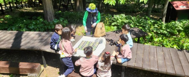 1-5 고성 갈모봉, 하늘숲길 품은 산림관광 랜드마크로 [유아숲2].jpg