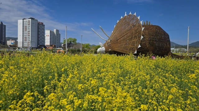 3-2 고성기월안뜰 경관농업 봄꽃 본격 개방 3-2 고성기월안뜰 경관농업 봄꽃 본격 개방.jpg