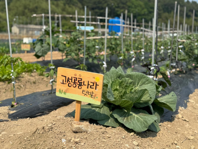3-2 도시민의 꿈, 고성의 일상이 되다, 2026년 고성군이 제시하는 농촌 정착의 미래.png