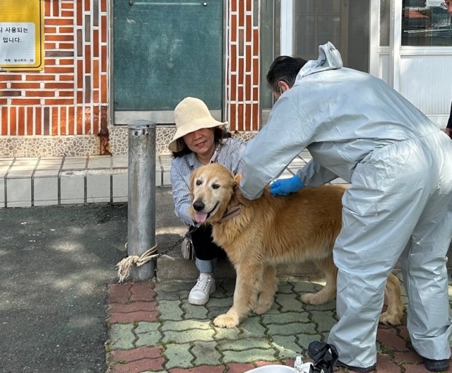 관련사진(상반기 광견병 예방접종 사진2).jpg