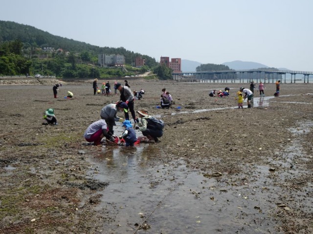 2-1 갯벌·둠벙·독수리…고성, 자연을 온몸으로 만나는 생태여행[갯벌체험].JPG