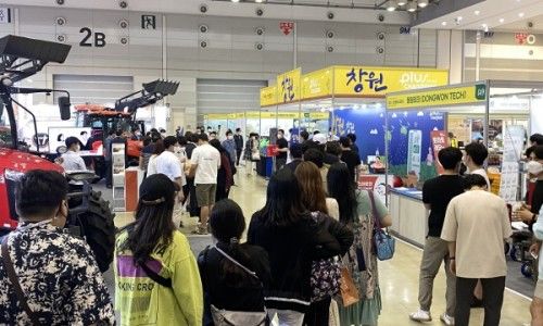 팜코.jpg
