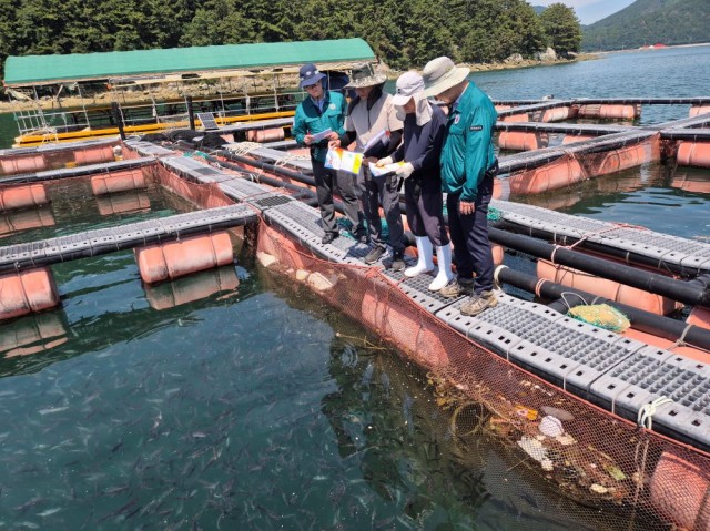 관련사진(거제시, 고수온 대비 양식장 현장점검 실시1) 관련사진(거제시, 고수온 대비 양식장 현장점검 실시1).jpg